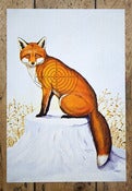 Image of 'RED FOX' BY Ben Freeman and Igor Pičulin