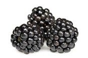 Image of Blackberry Lime