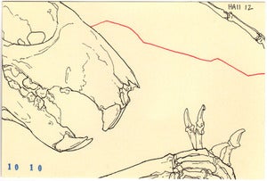 Image of The Secret Inside - Signed w/ Original Ink Drawing #10