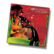 Image of Liz Bramlett <i>A Walk Around</i>