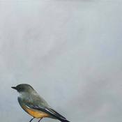 Image of Say's Phoebe Panel by The Mincing Mockingbird