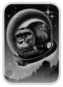 Image of Space Ape