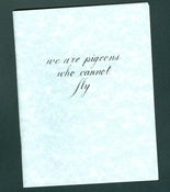 Image of we are pigeons who cannot fly zine