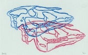 Image of Faux 3D Horse Skull prints