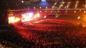 Image of Private show with Totorro