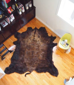 Image of X-Large North American Buffalo Hide 