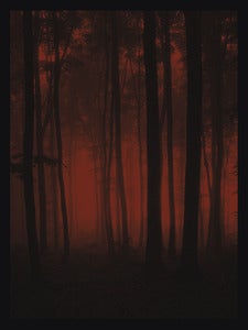 Image of Crimson Forest - Art Print