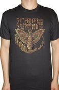 Image of Moth