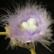 Image of Bird's Nest Hair Clip in Purple Item#bdnstpl