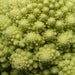 Image of Broccoli - Precoce Romanesco