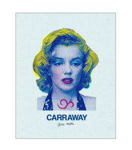 Image of Marilyn Poster