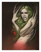 Image of Madragora