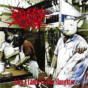 Image of NO ONE GETS OUT ALIVE "Like a lamb to the slaughter" CD