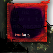 Image of Fractures