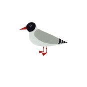 Image of Black-headed Gull Limited Edition Screenprint Artist Proof