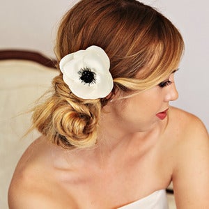 Image of Windflower