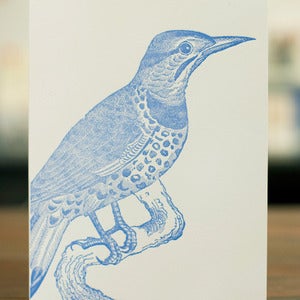 Image of Spotted Bird Portrait Card