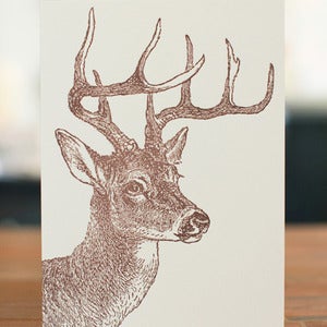 Image of Deer Portrait Card
