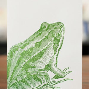 Image of Frog Portrait Card