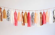 Image of Tassel Garland-Pink/Peach
