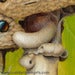 Image of "Mushy" mounted giclee print