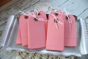 Image of Medium Pink Parcel Tags