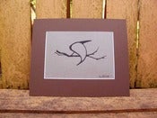 Image of Quote the Raven