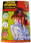 Image of Joe Capobianco Sketchbook
