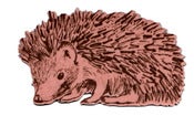 Image of Hedgehog sideway magnet