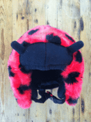 Image of LadyBird