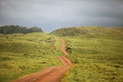 Image of Mana Road
