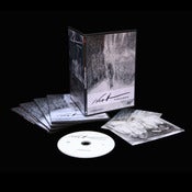 Image of Wert: Presències efímeres (Documentary)