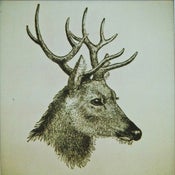 Image of the great prince of the forest