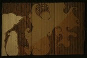 Image of Squirrel