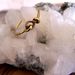 Image of Latch Ring- Brass