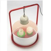 Image of Chicktec mini chick brooder