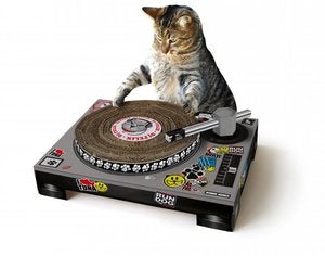 Image of CAT SCRATCHING DJ DECKS