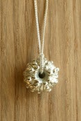 Image of Urchin Necklace 3D