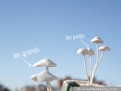Image of Kleine Pilze, Little Porcelain Mushrooms