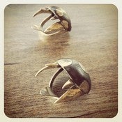 Image of The Mushroom Ring