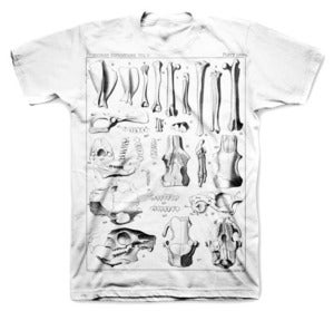 Image of EXPEDITION tee shirt