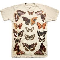 Image of INSECTA pre-order tee shirt