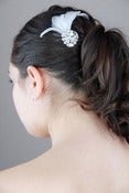 Image of Rhinestone Broach & Feather Comb