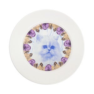 Image of Chrissie Abbot 'Cat' Plate by JaguarShoes Collective