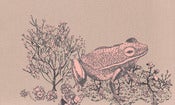 Image of Woodlands Wallpaper Samples