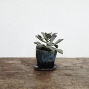 Image of Tiny planter #2 *SOLD*