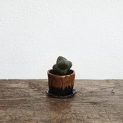 Image of Tiny planter #3 *SOLD*