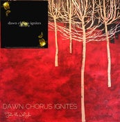 Image of 'Take Me With You' AND 'Signs' by Dawn Chorus Ignites