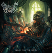 Image of NATRIUM - Elegy For The Flesh CD