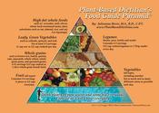 Image of Plant-Based Food Pyramid Refrigerator Magnet